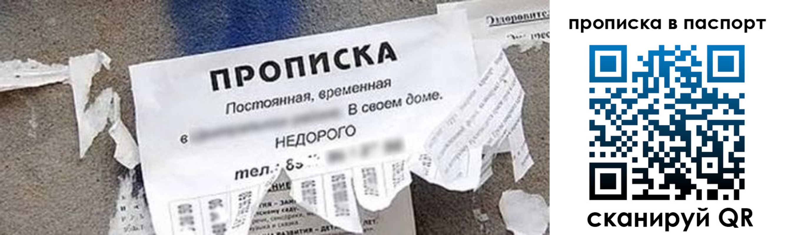 где прописаться в Кандалакше